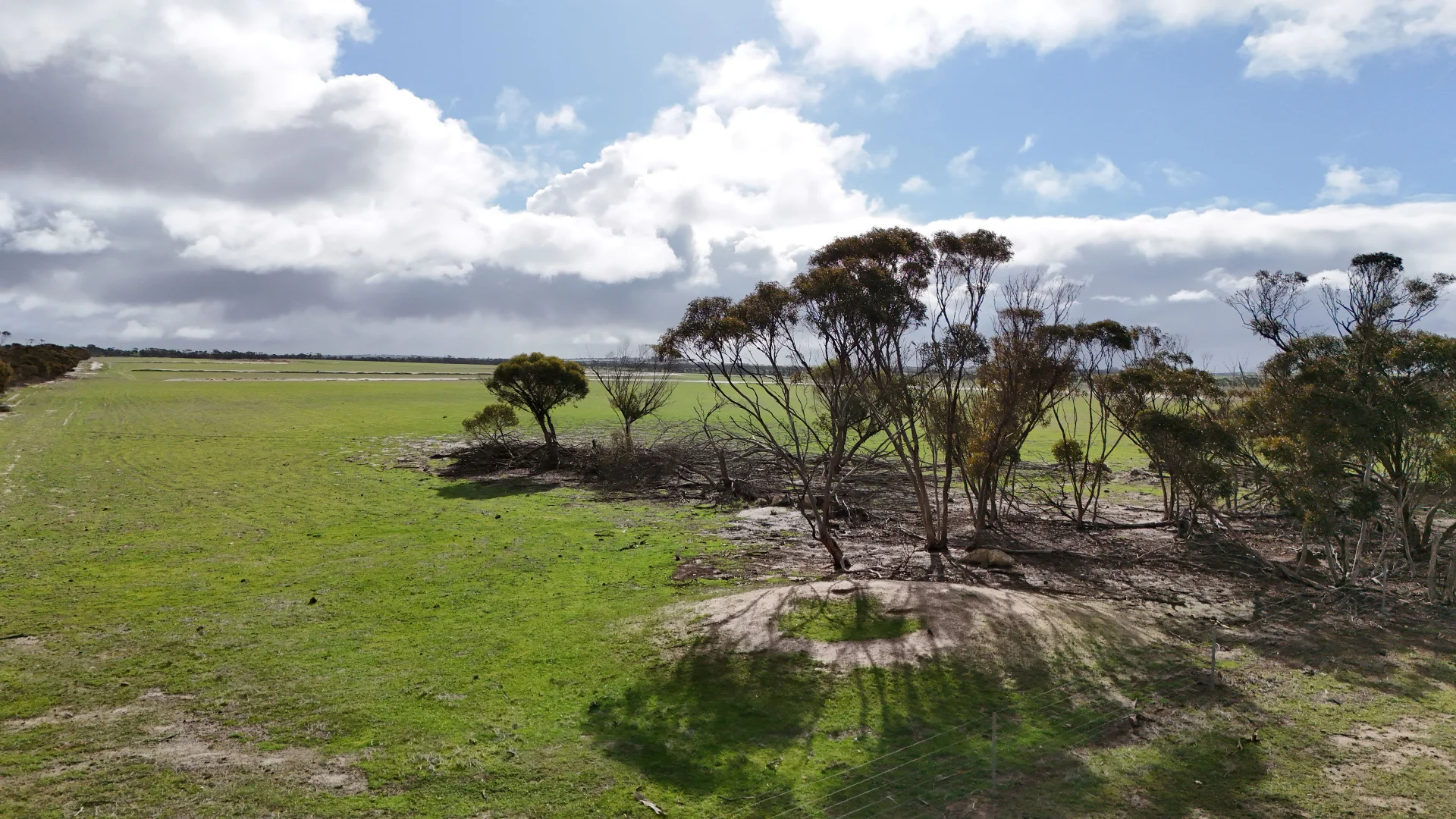 Additional image 8 of 3000 Rabbit Proof Fence Rd, Pingrup WA 6343