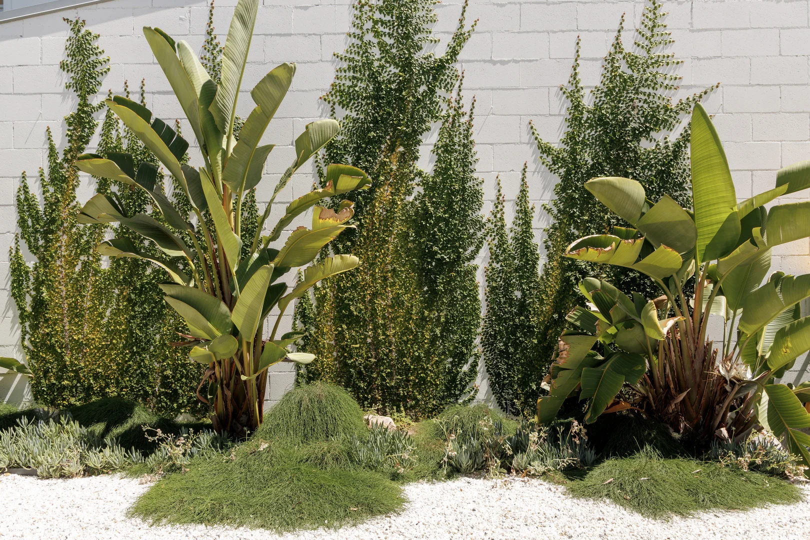 Additional image 11 of 9 Wollomia Way, Sunrise Beach QLD 4567