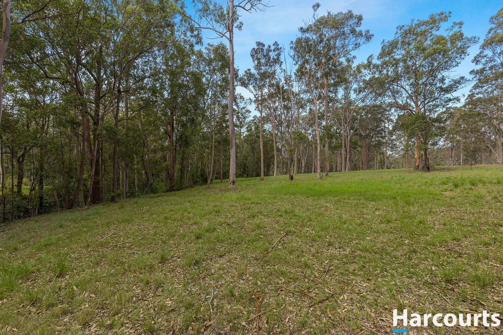 Additional image 24 of 1416 Webbers Creek Road, Paterson NSW 2421
