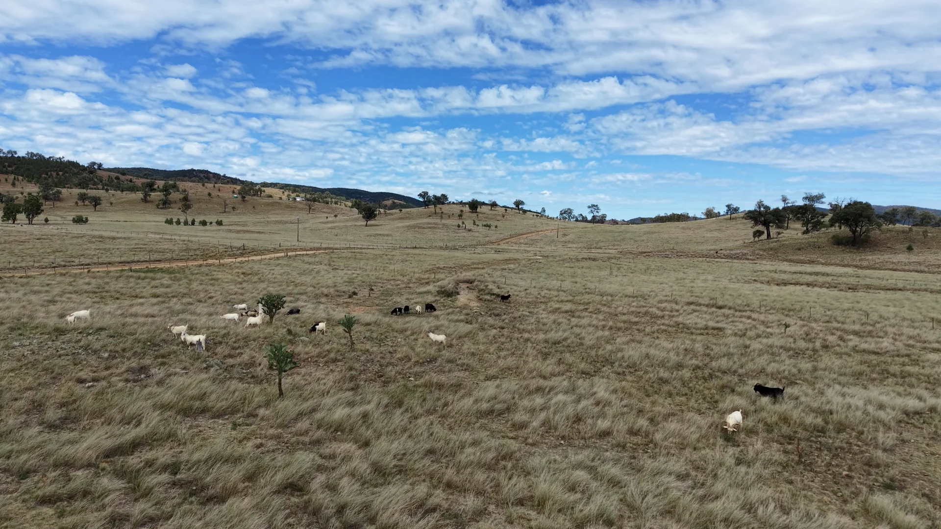 Additional image 7 of 1213 Mole River Road, Tenterfield NSW 2372