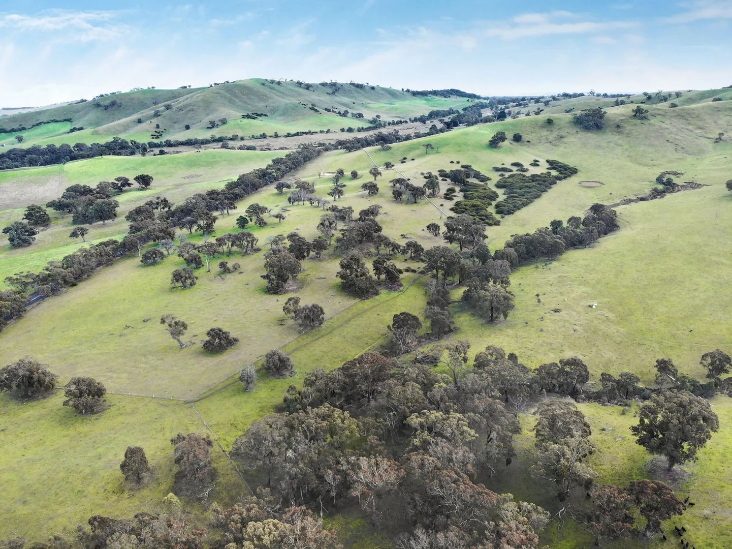 Additional image 10 of Lot 1 172 Rhymney Road, Norval VIC 3377