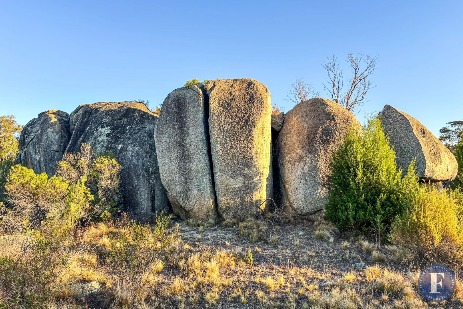 Additional image 11 of 1603 Foggs Crossing Road, Reids Flat NSW 2586
