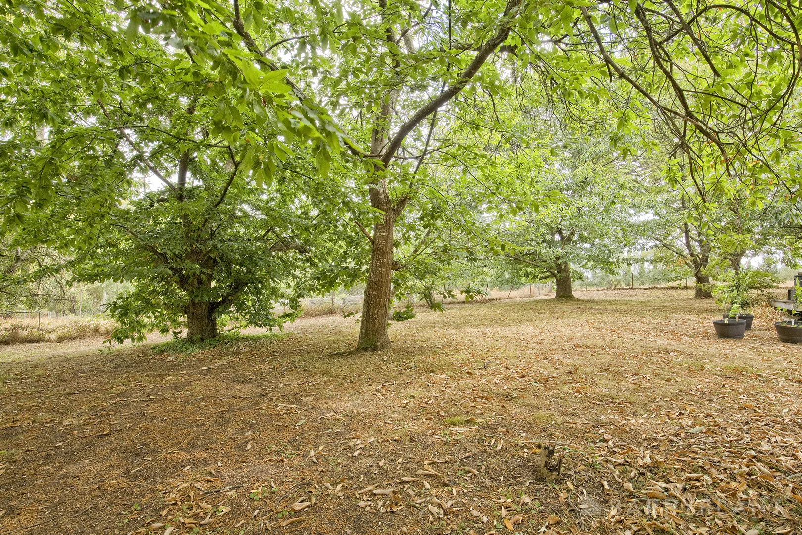 Additional image 18 of 29 Avon Road, Avonsleigh VIC 3782