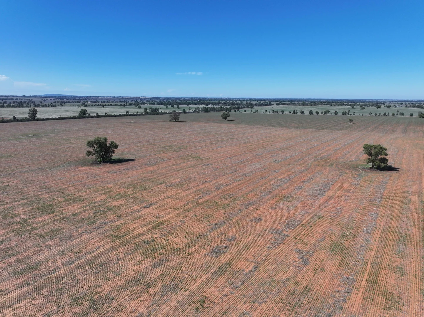 Additional image 15 of Shannonvale & Elmore Strontian Road, Boree Creek NSW 2652
