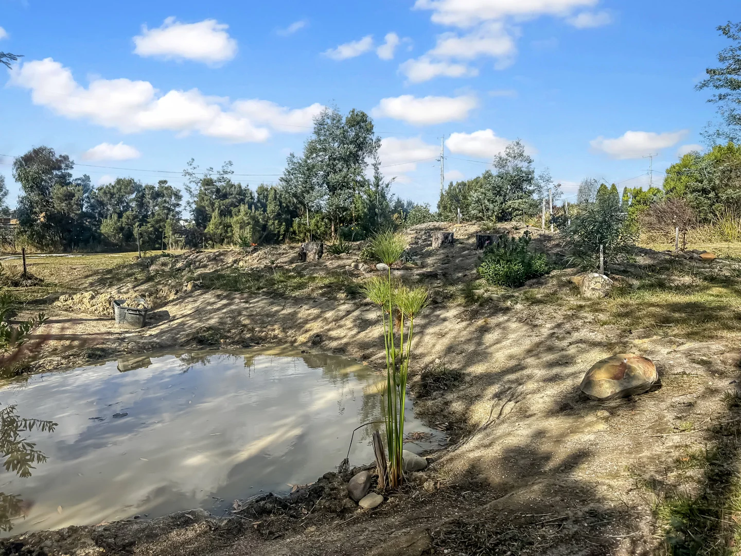 Additional image 11 of 29-33 Medea Street, St Helens TAS 7216