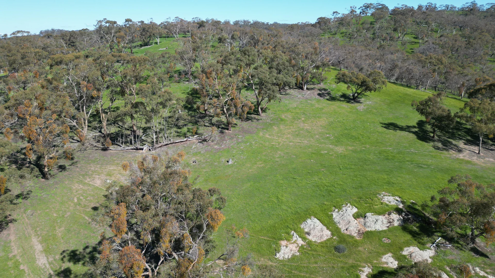 Additional image 25 of 97 McCord Lane, Gillentown SA 5453