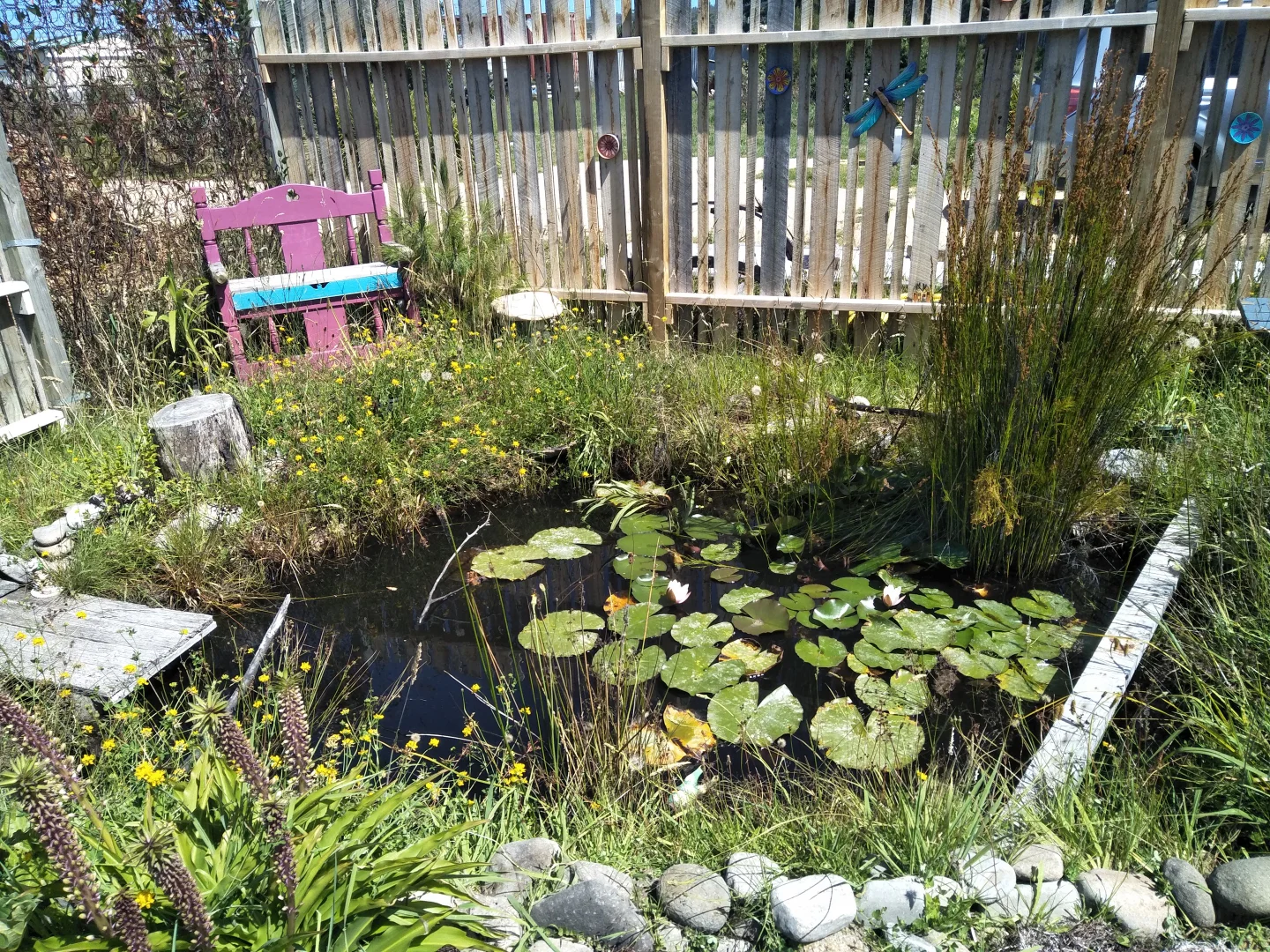 Additional image 12 of 29-33 Medea Street, St Helens TAS 7216