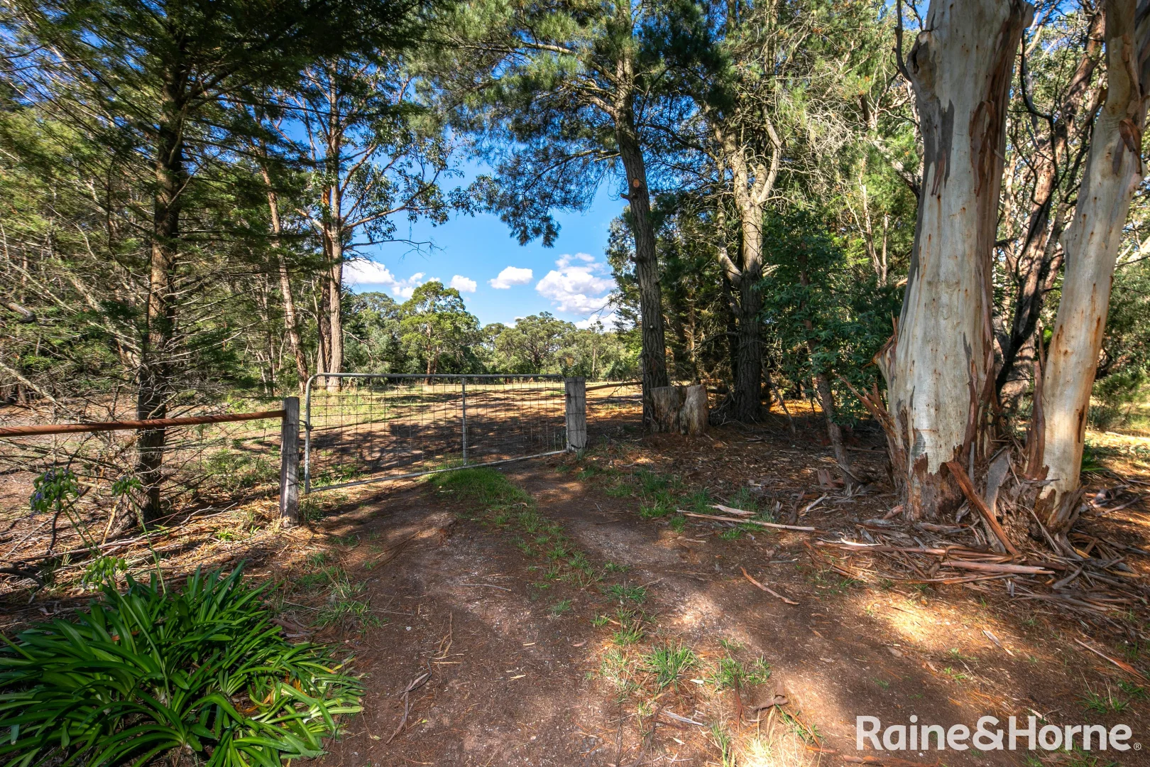 Additional image 9 of Lot 1 Black Forest Drive, Macedon VIC 3440