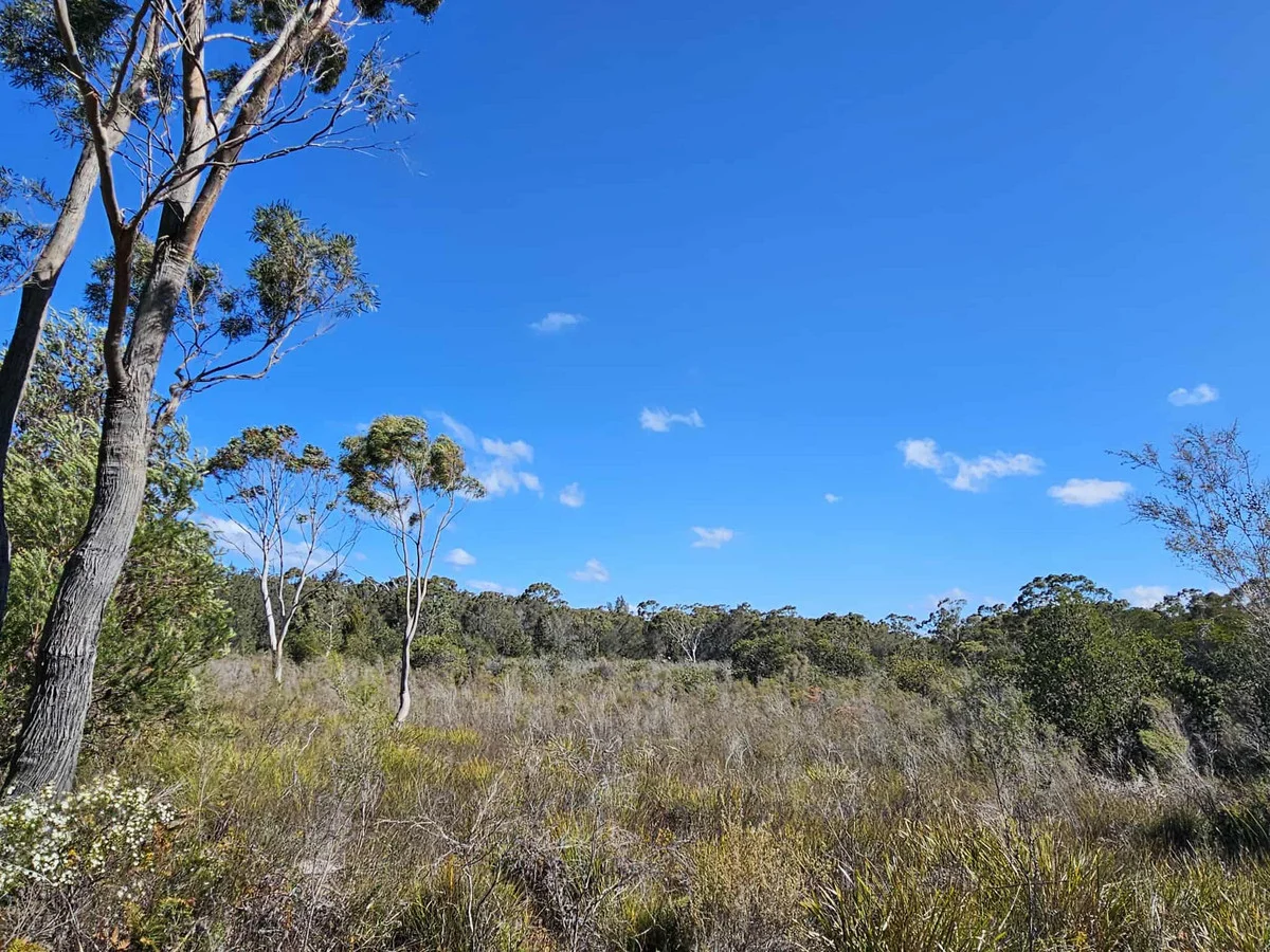 Additional image 9 of 1434 Coles Bay Road, Coles Bay TAS 7215