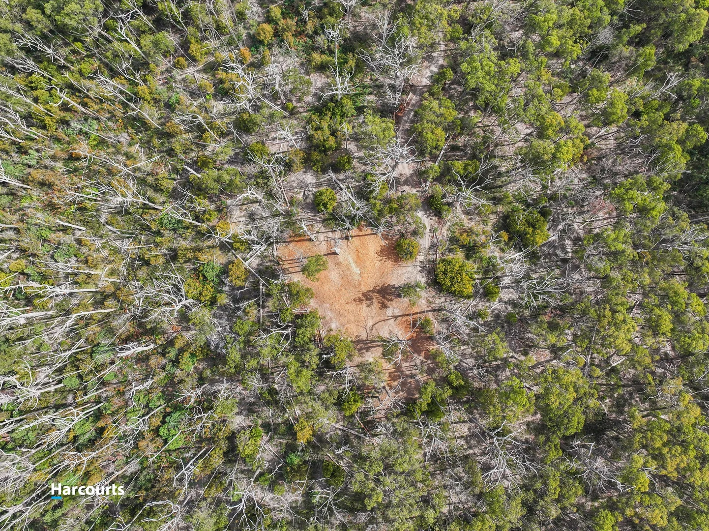 Additional image 5 of Lot 1 Slaters Road, Cradoc TAS 7109