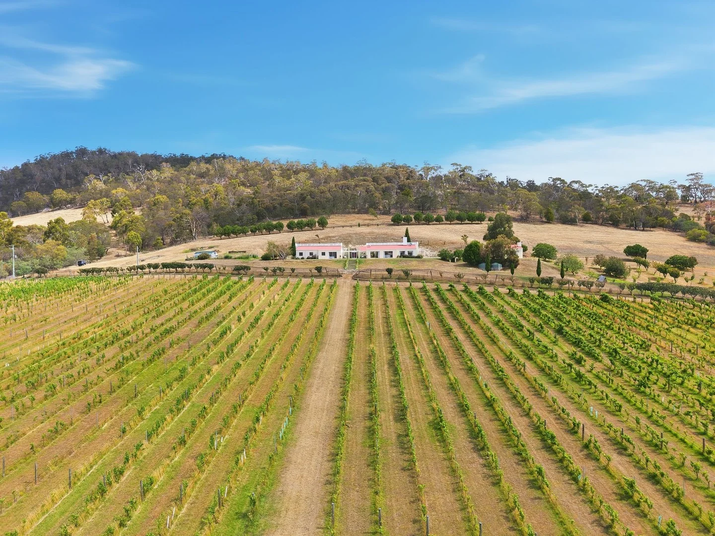 Additional image 2 of 324 Richmond Road, Cambridge TAS 7170