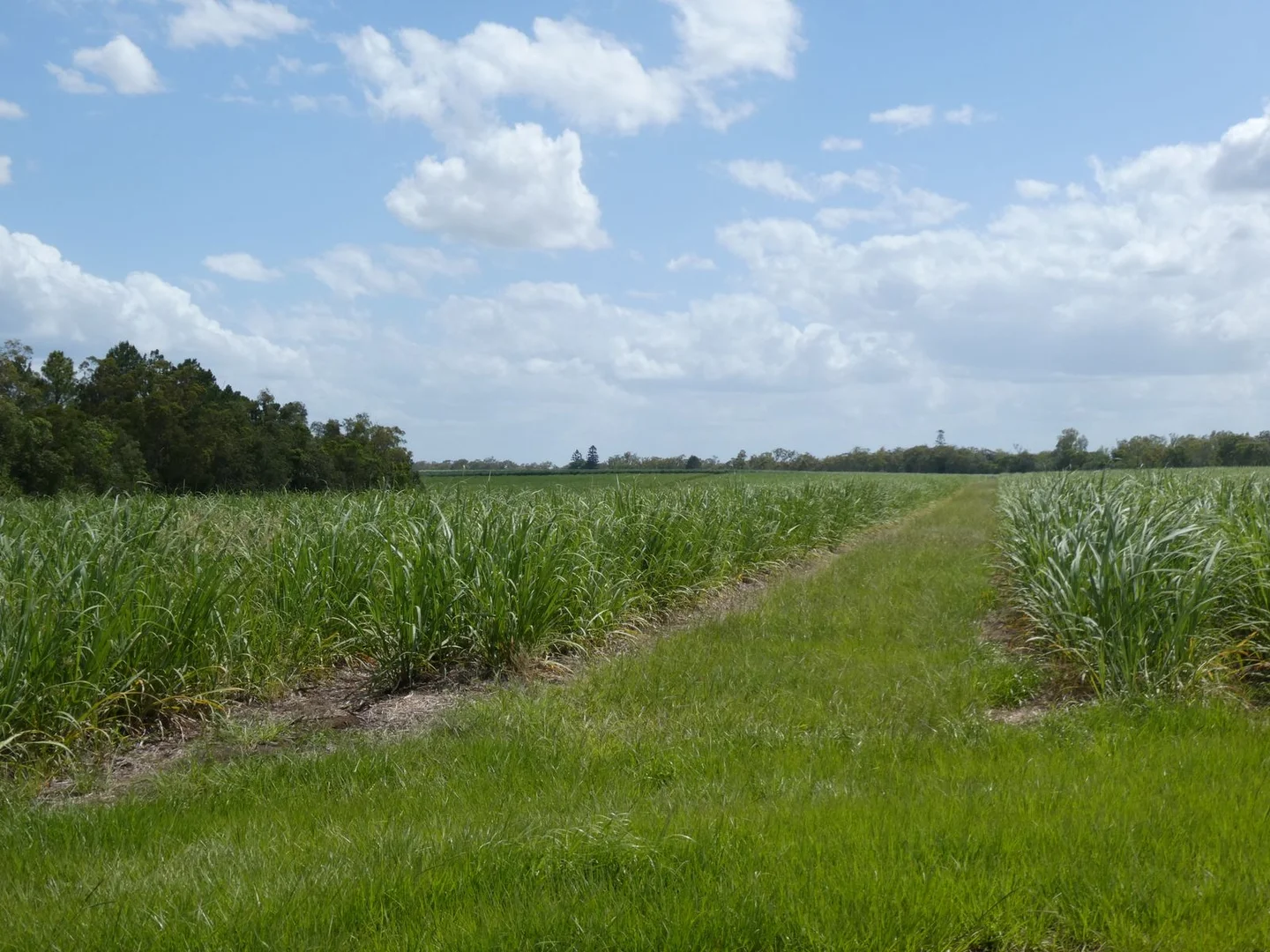 Additional image 18 of 3392 Childers Road, Gregory River QLD 4660