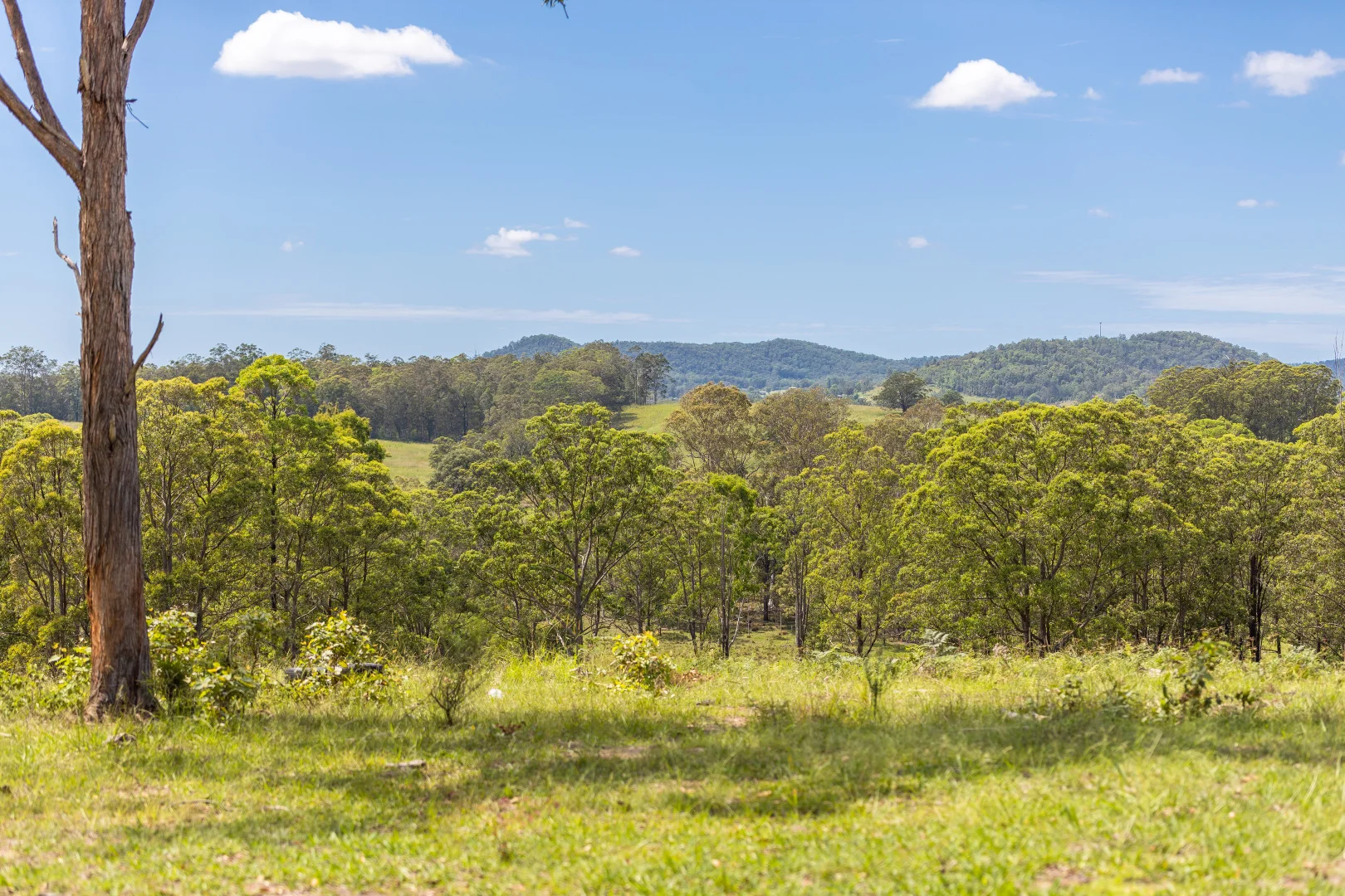 Additional image 6 of 30 Wynters Road, Burrell Creek NSW 2429