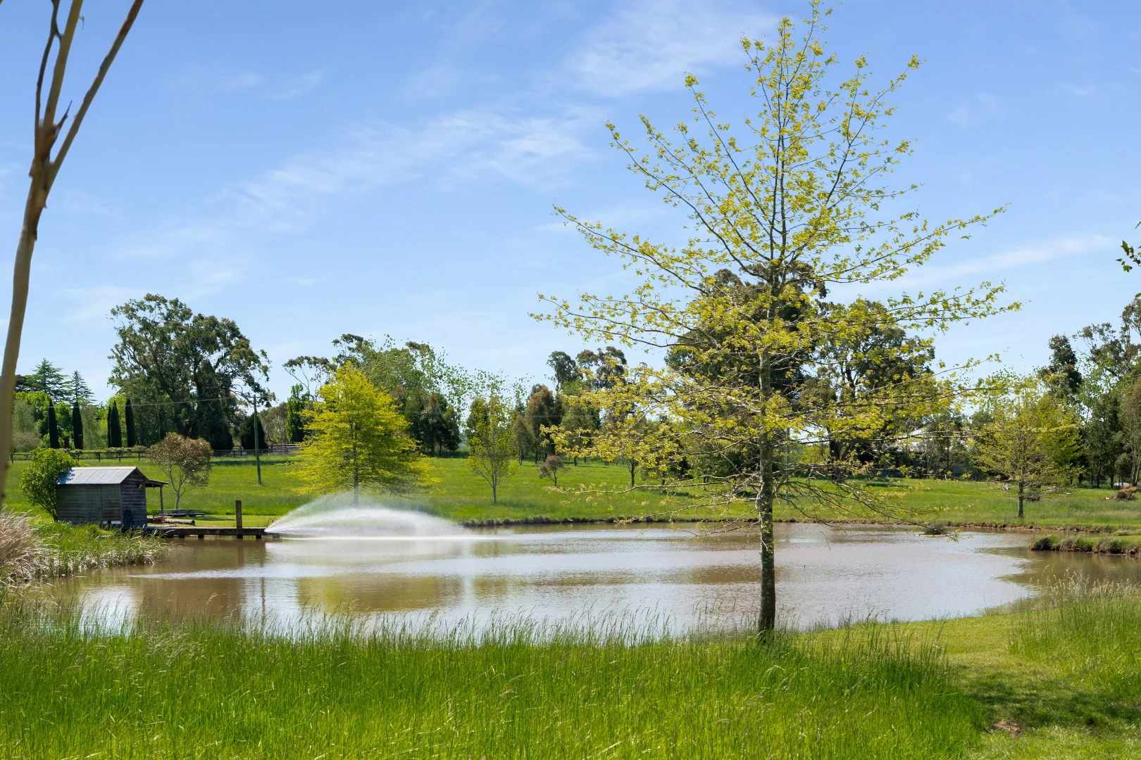 Additional image 38 of 7361 Illawarra Highway, Sutton Forest NSW 2577