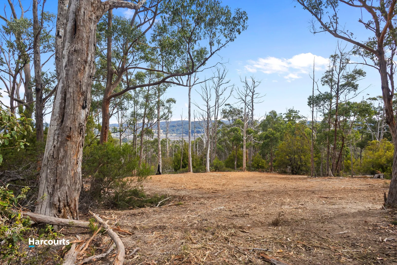 Additional image 17 of Lot 1 Slaters Road, Cradoc TAS 7109