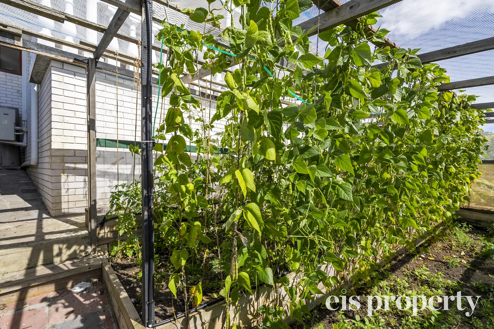 Additional image 25 of 116 Brent Street, Glenorchy TAS 7010