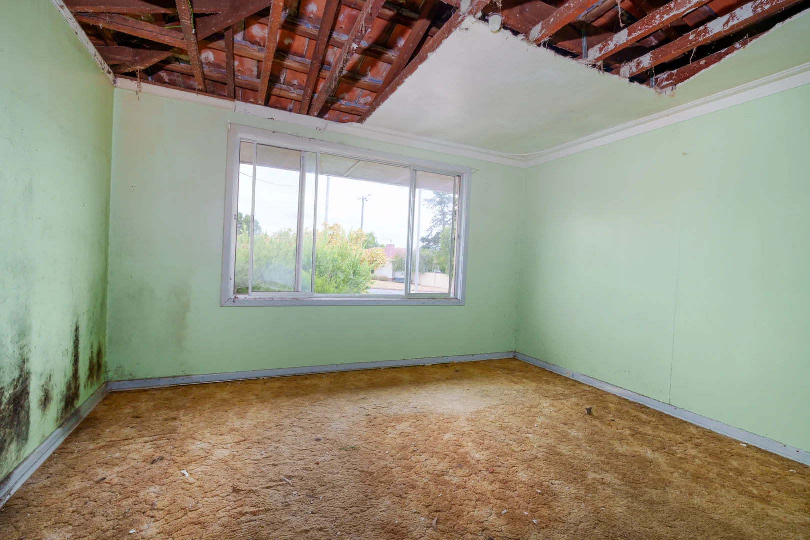 Additional image 10 of 53 Leman Street, Manjimup WA 6258