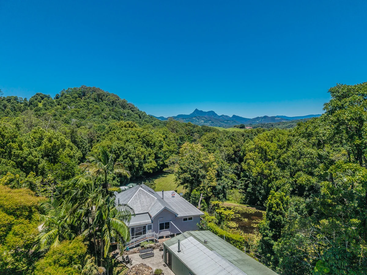 Additional image 33 of 837 Nobbys Creek Road, Nobbys Creek NSW 2484