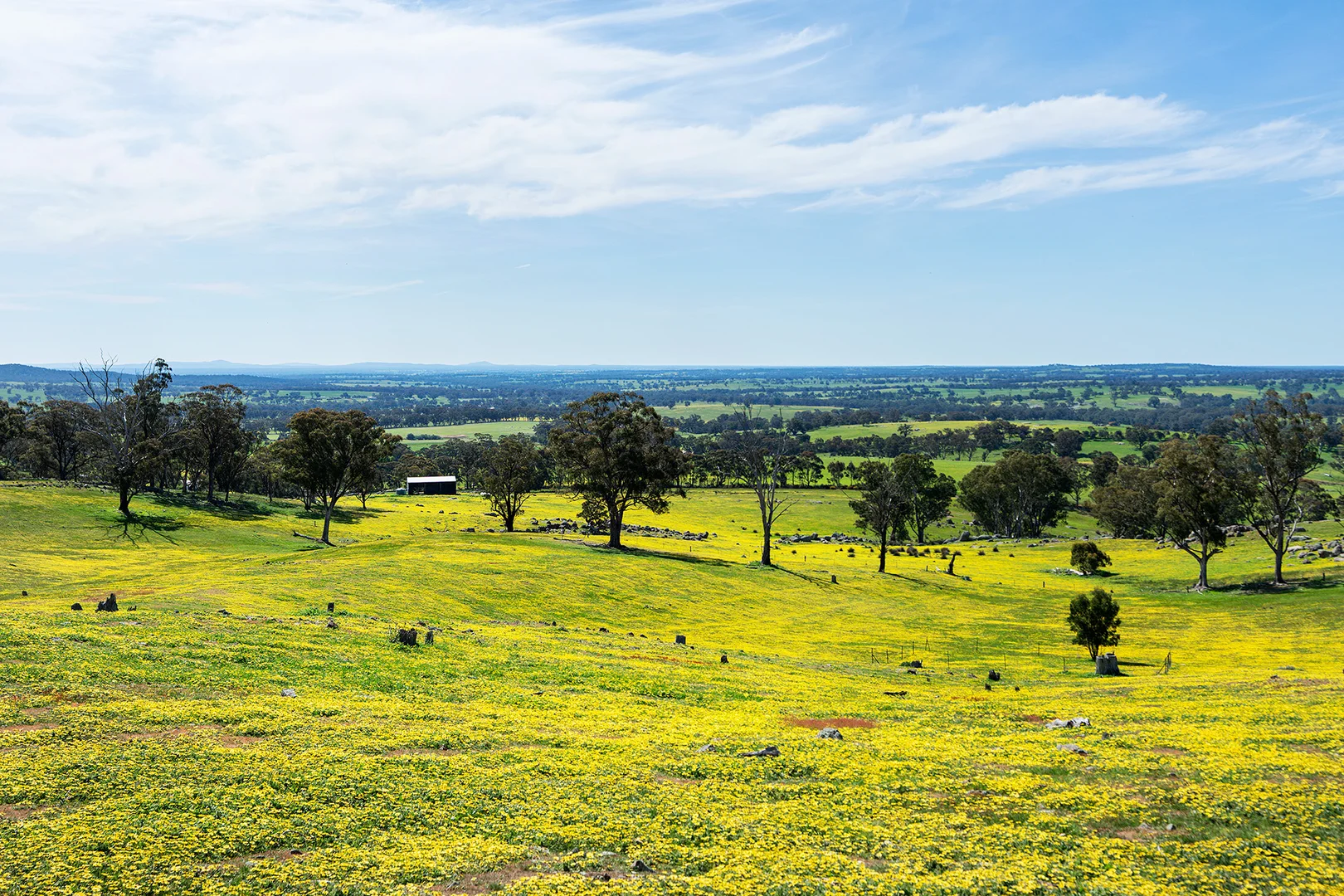 Additional image 20 of 225 Nuggetty Road, Maldon VIC 3463