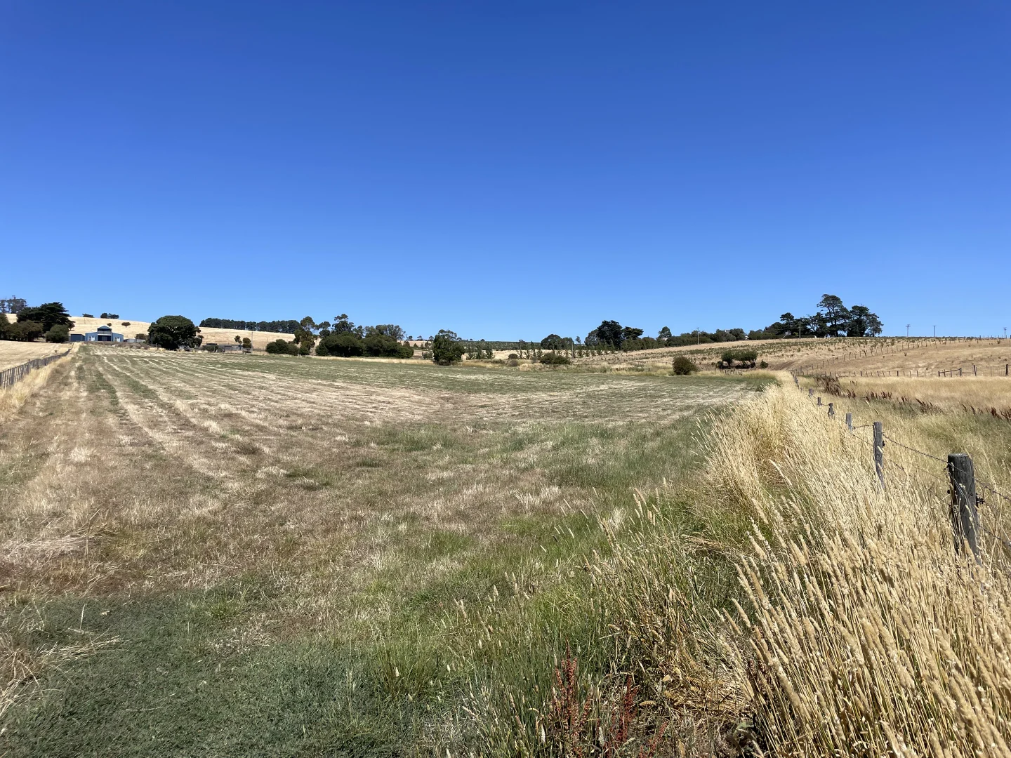 Additional image 27 of 25 White Hills Road, White Hills TAS 7258