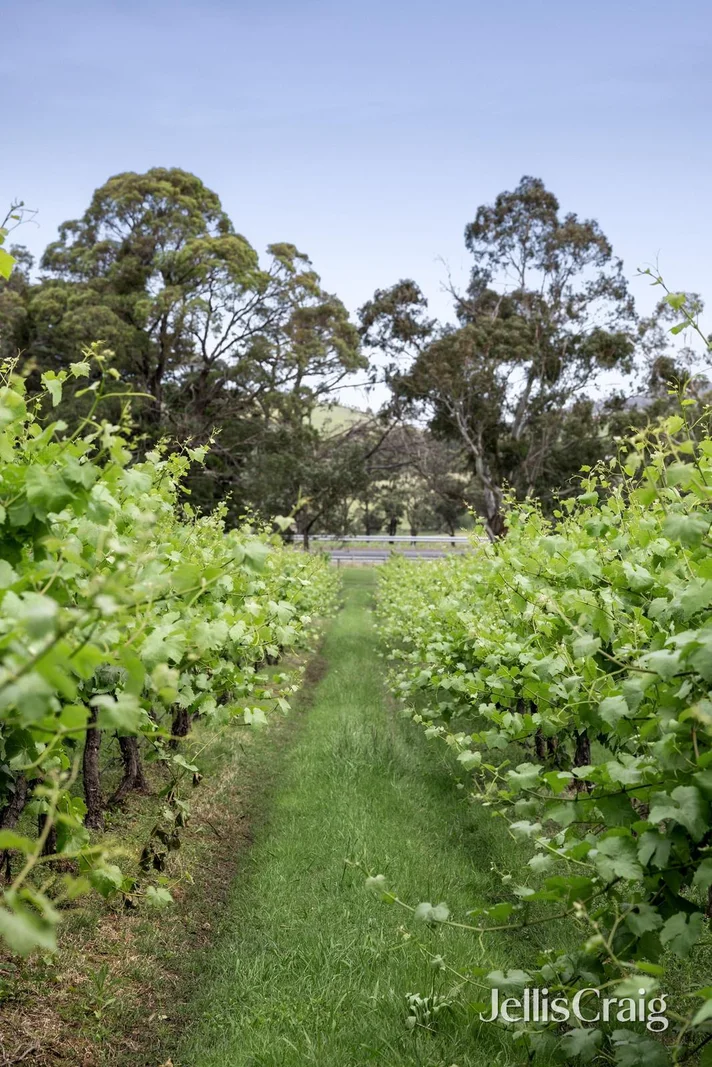 Additional image 13 of 2 Maxwells Road, Coldstream VIC 3770