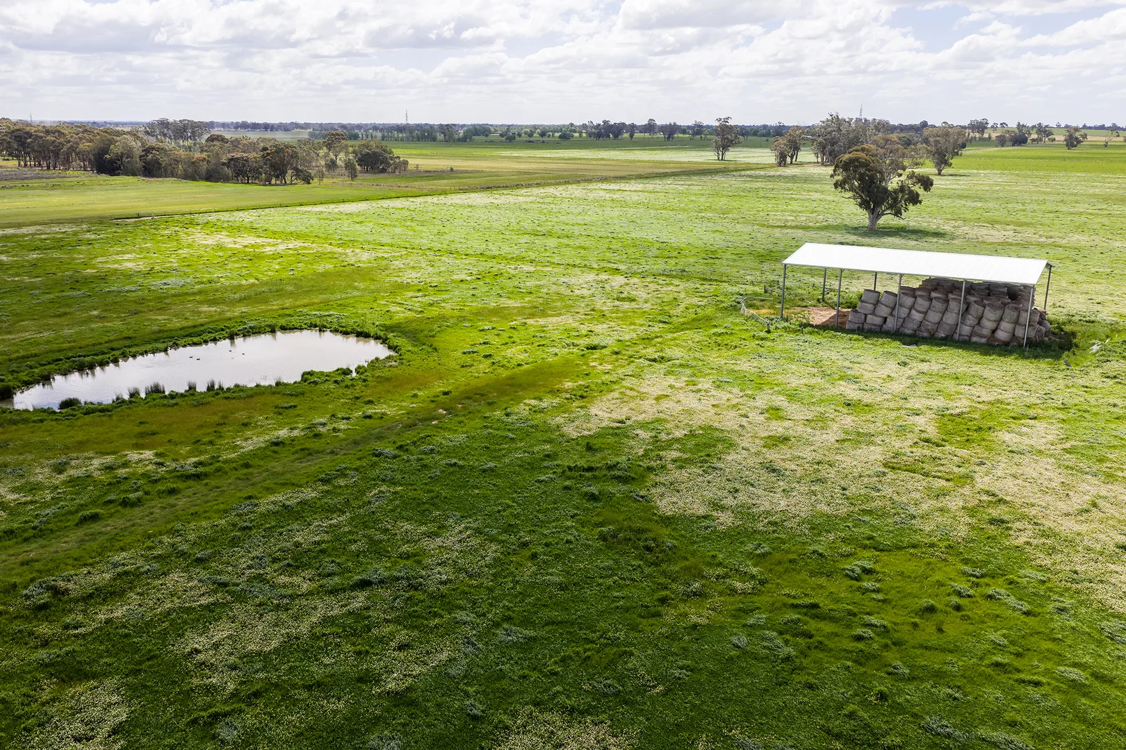 Additional image 17 of 603 Zegelin Road, Rushworth VIC 3612