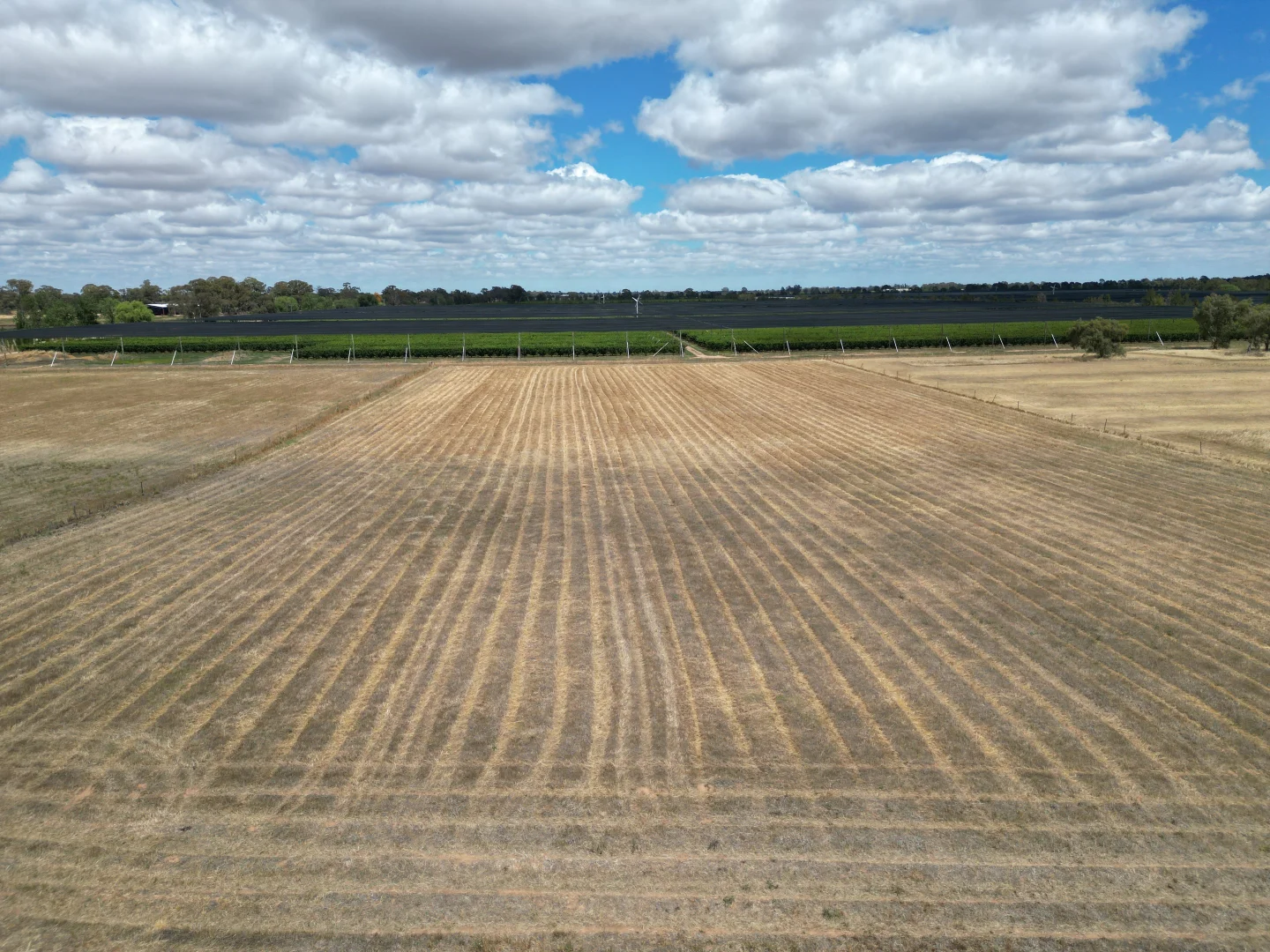 Additional image 28 of 104 Barnes Road, Cobram VIC 3644