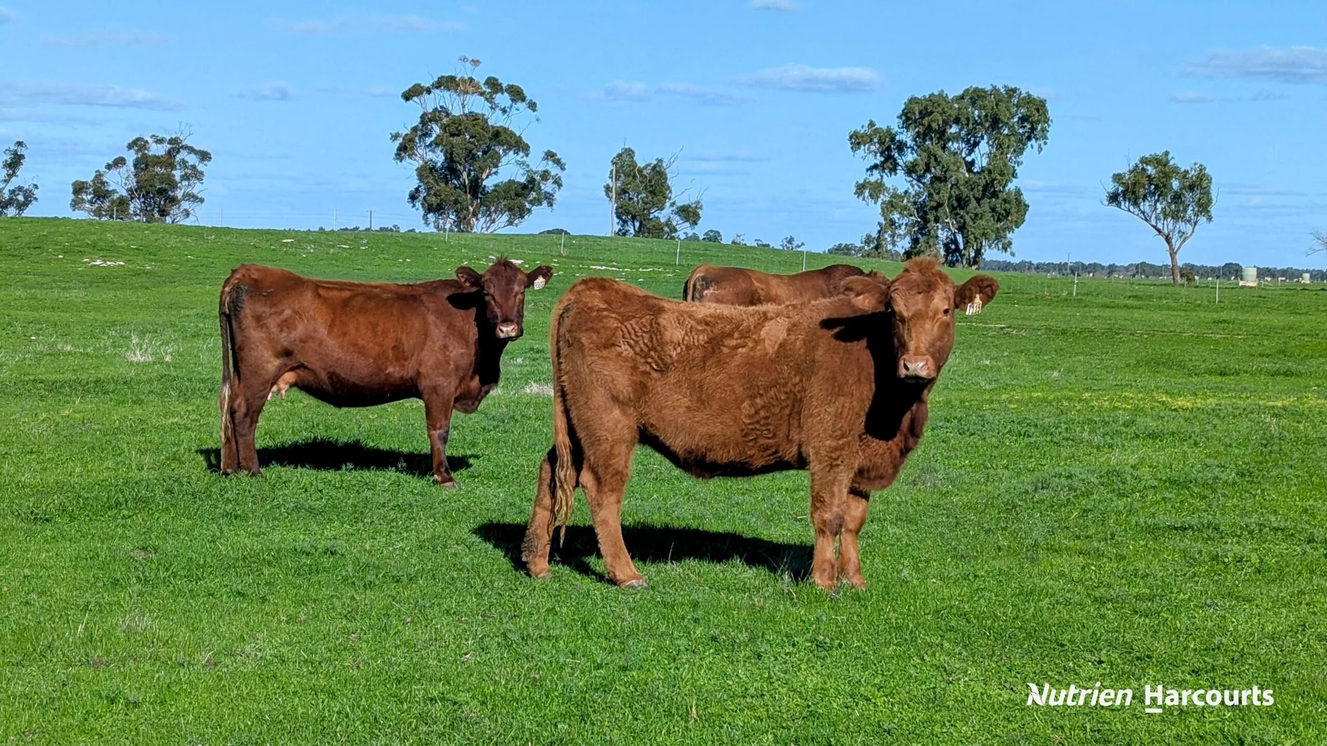 Additional image 26 of 271 Mayfield Road (Beermullah), Gingin WA 6503