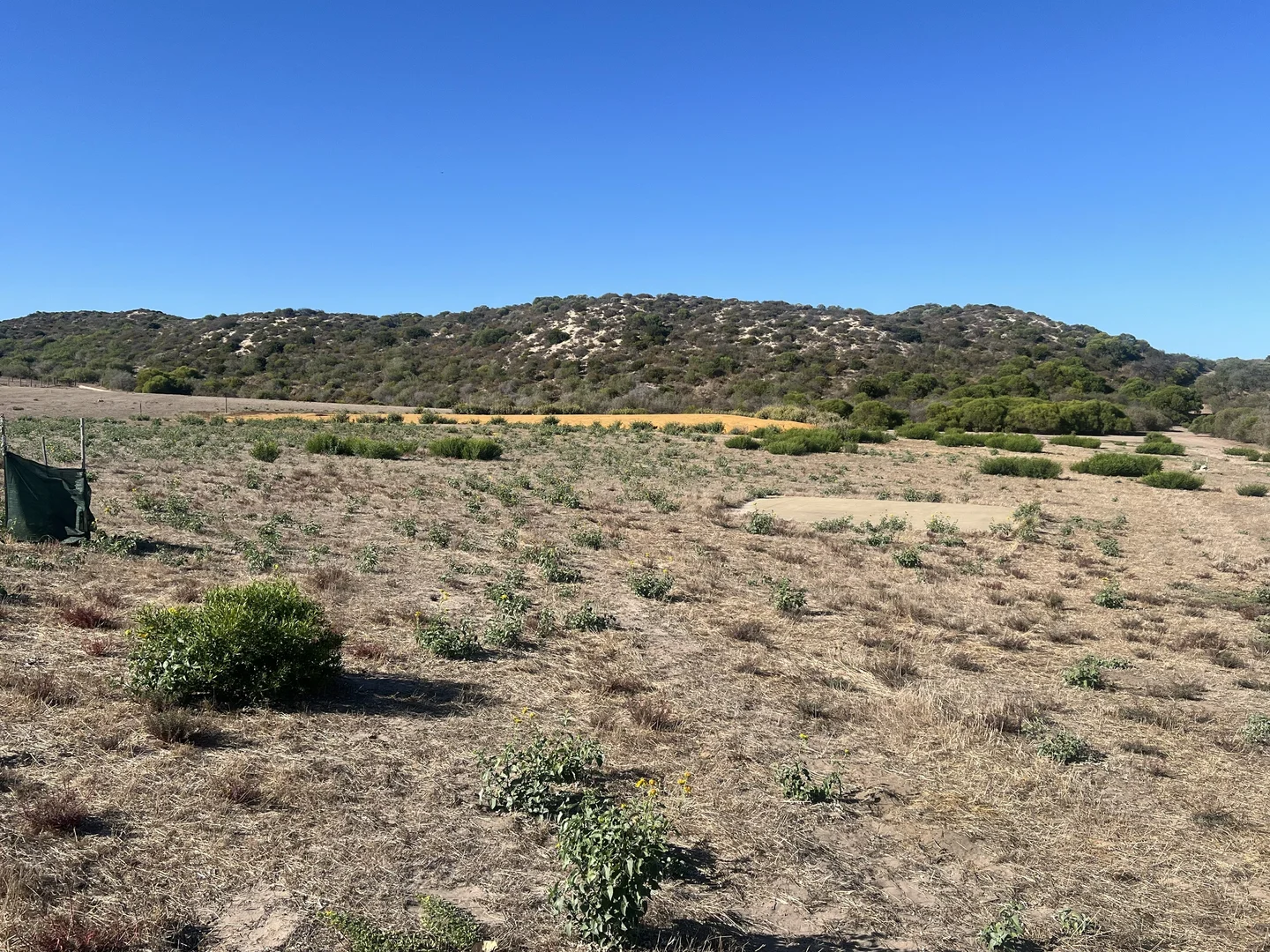 Additional image 5 of 7 North Island Loop, Greenough WA 6532