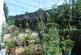 Additional image 18 of Midland Row, Lazonby, Penrith, CA10