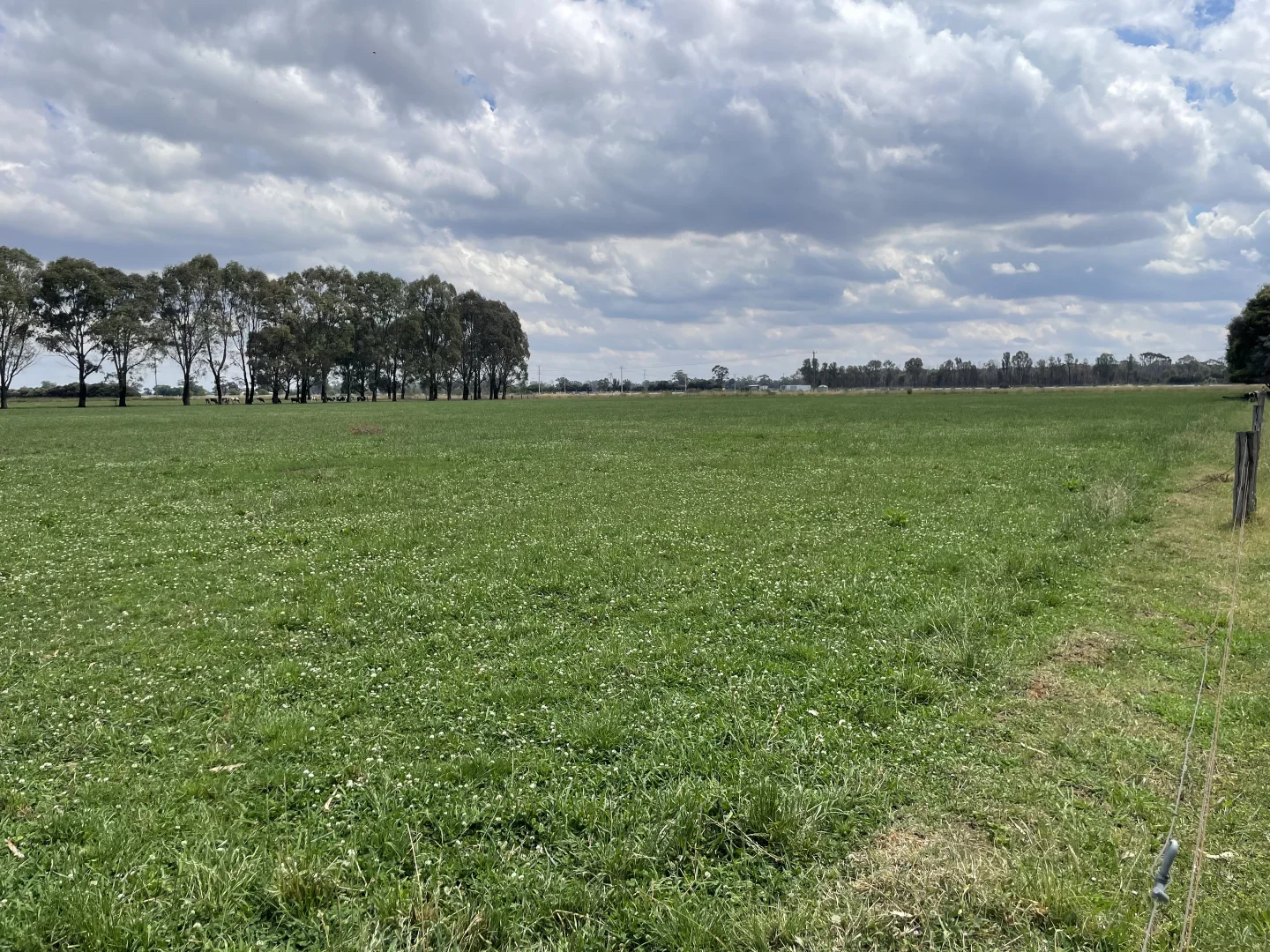 Additional image 5 of 630 Morrissey Road, Girgarre VIC 3624