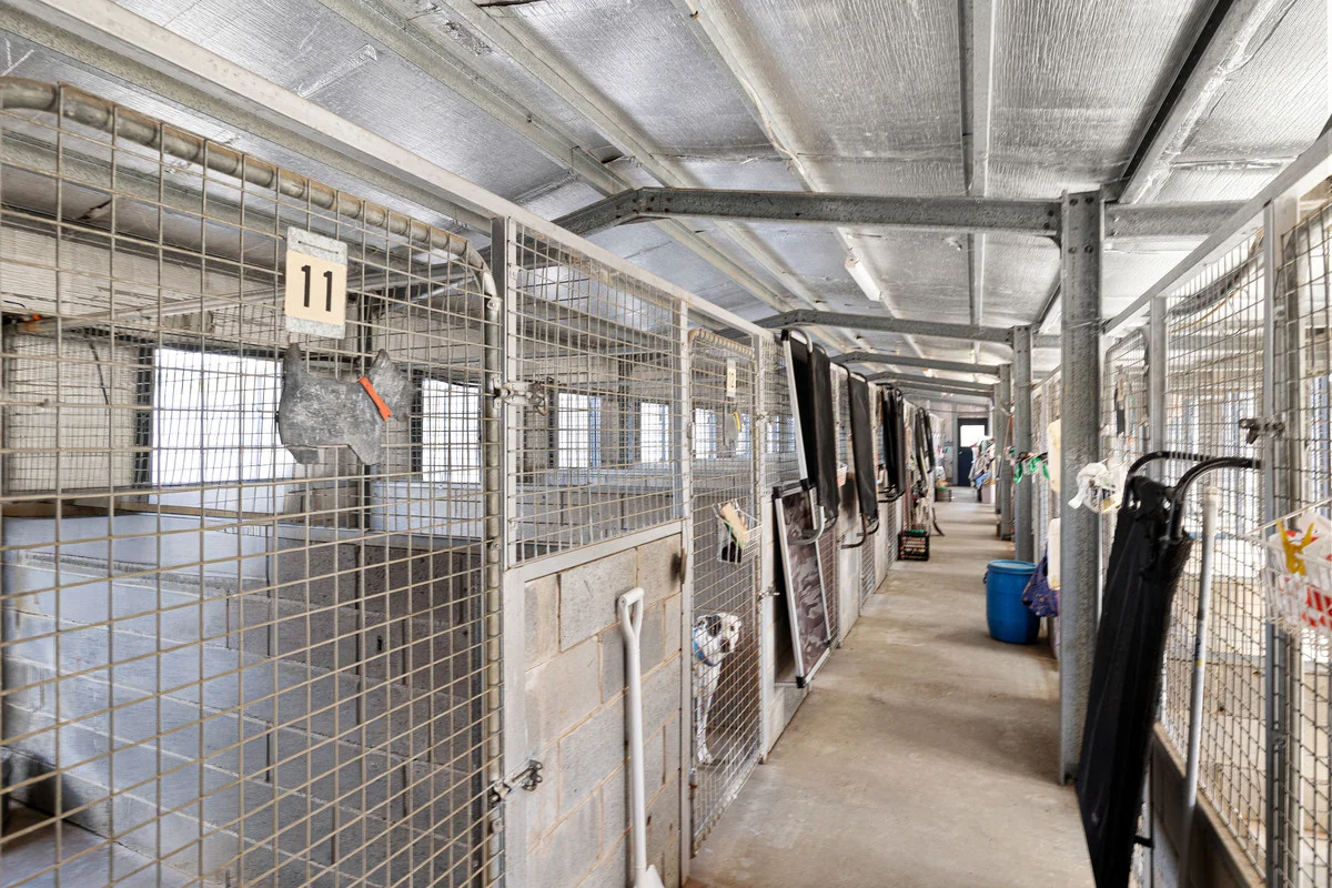 Additional image 4 of 9834 Newell Highway, Narrabri NSW 2390