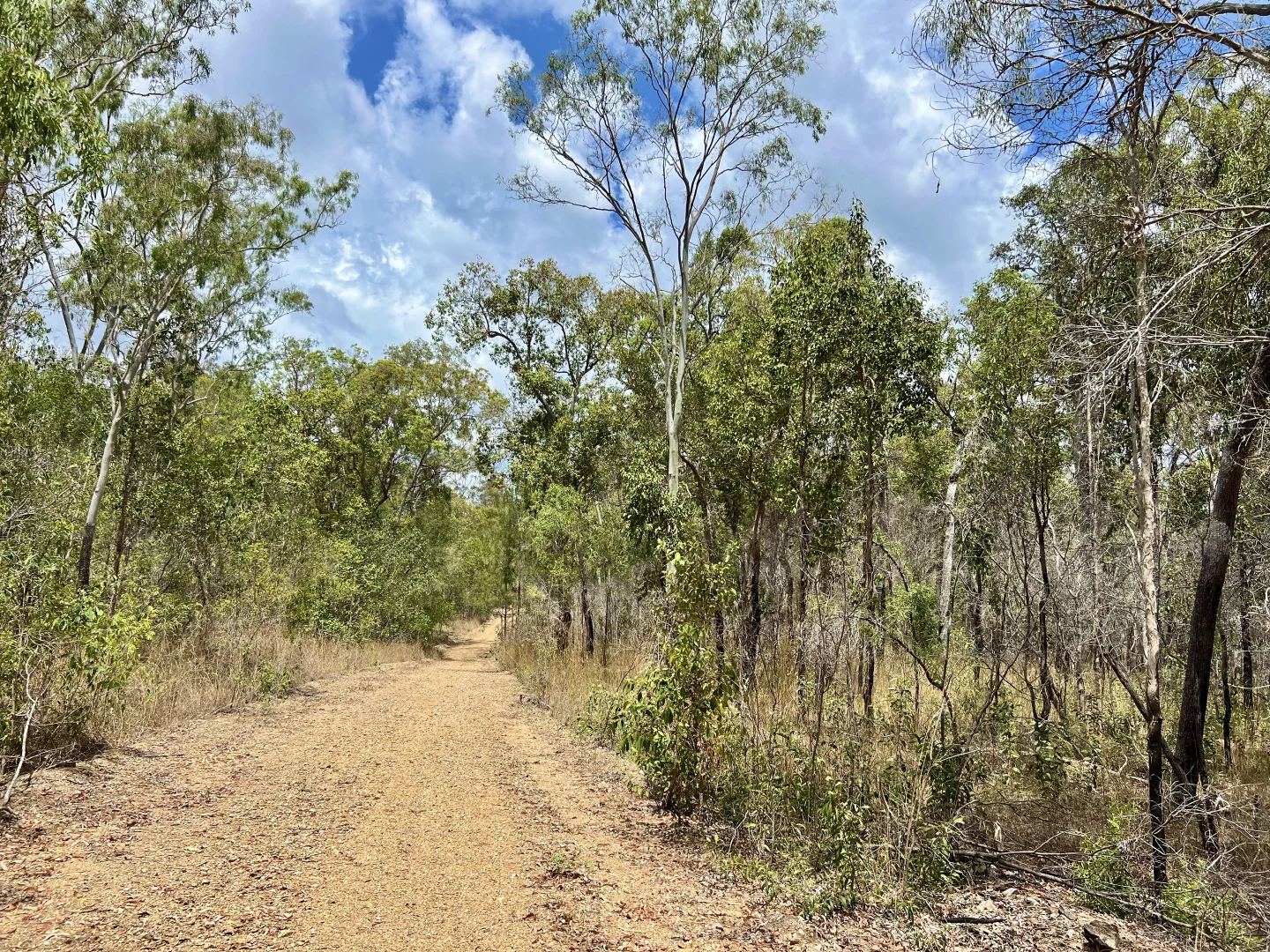 Additional image 15 of 380 Wildman Road, Iveragh QLD 4680