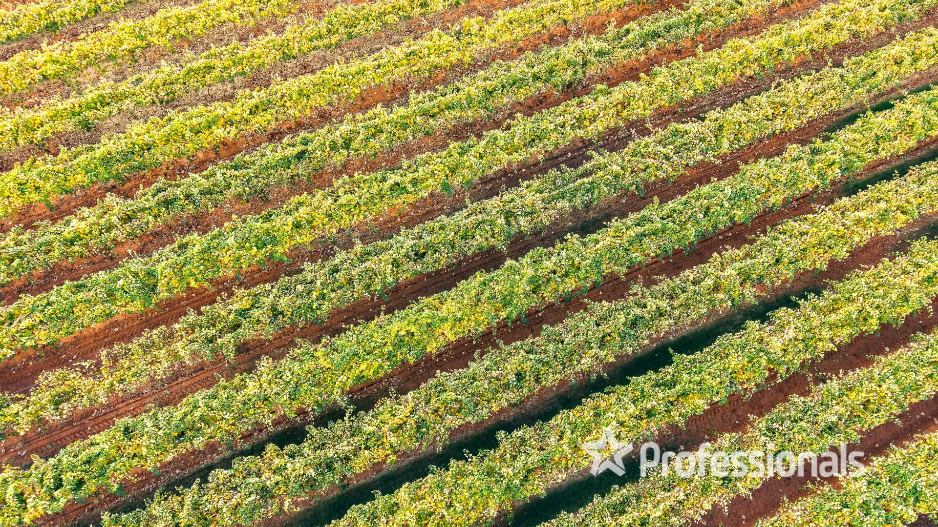 Additional image 9 of Lot 2 Myall Street, Cardross VIC 3496