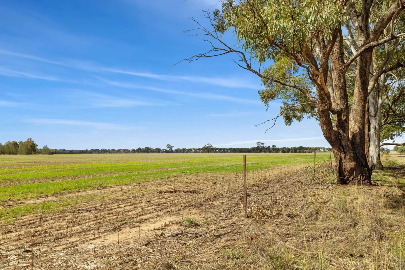 Additional image 6 of CA 57B Elmore-Minto Road, Elmore VIC 3558