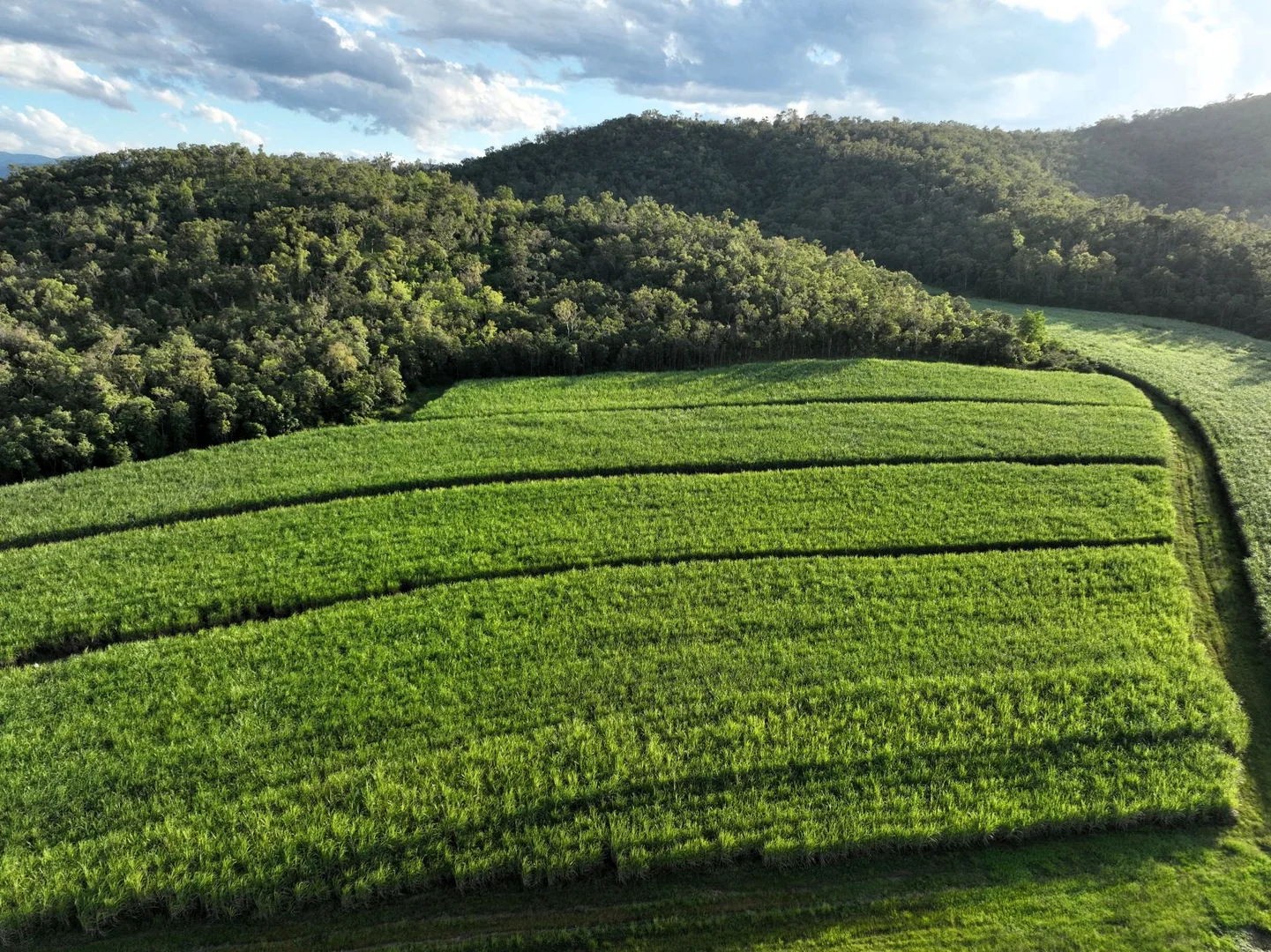 Additional image 6 of Sutherlands Road, Pindi Pindi QLD 4798