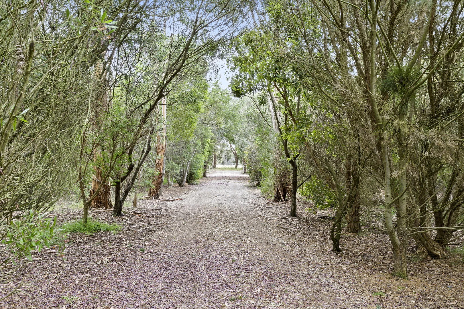 Additional image 3 of 545 Dangers Road, Gherang VIC 3240