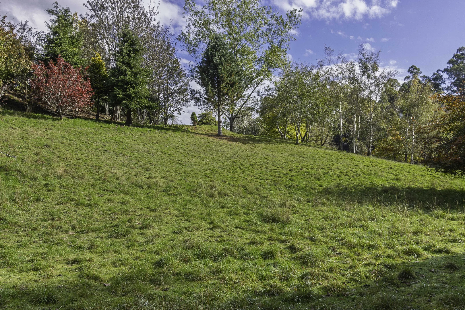 Additional image 24 of 210 Nicholls Rivulet Road, Oyster Cove TAS 7150