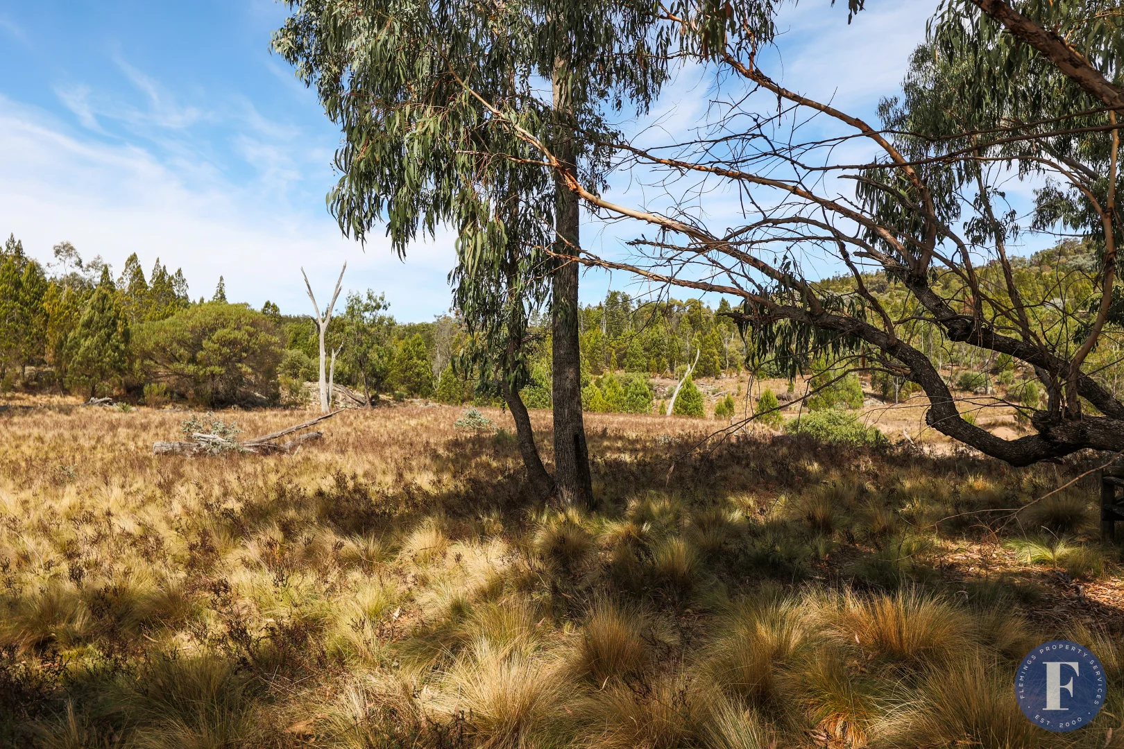Additional image 14 of 1603 Foggs Crossing Road, Reids Flat NSW 2586