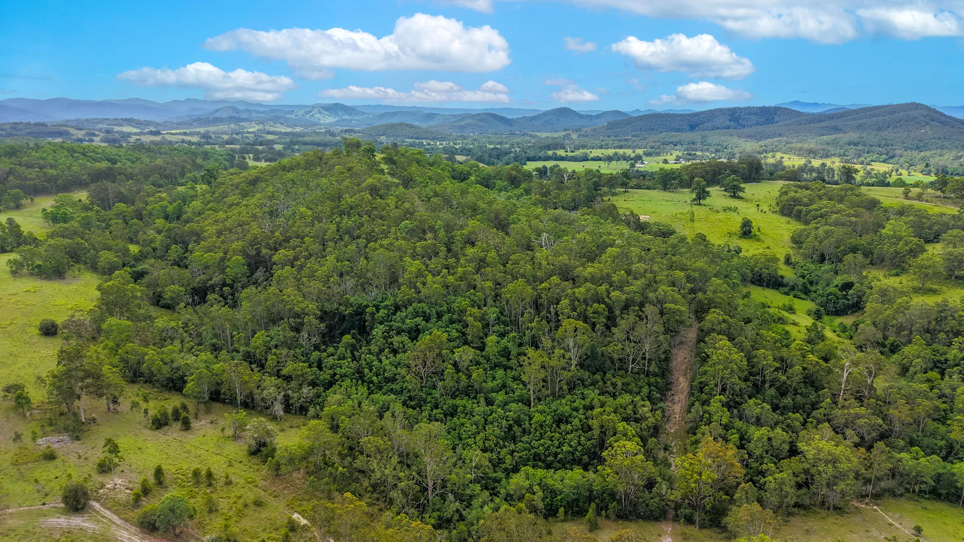 Additional image 32 of 198 Bow Hill Road, Dollys Flat NSW 2429