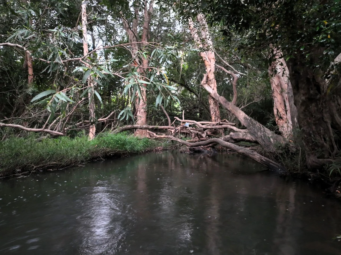 Additional image 17 of Sutherlands Road, Pindi Pindi QLD 4798