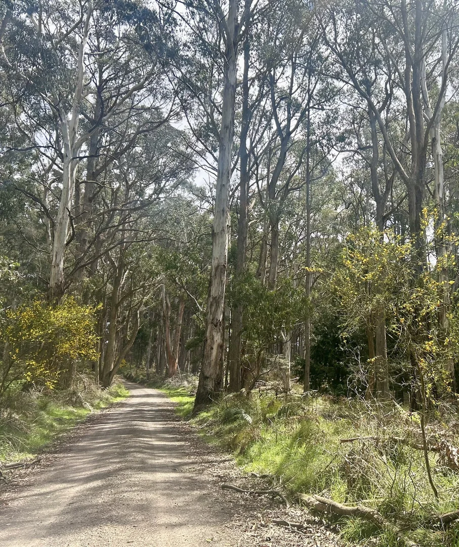 Additional image 17 of 175 Blighs Road, Trentham VIC 3458