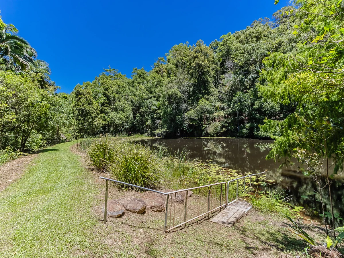 Additional image 7 of 837 Nobbys Creek Road, Nobbys Creek NSW 2484