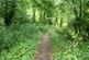 Additional image 46 of Downing Road, Whitford, CH8