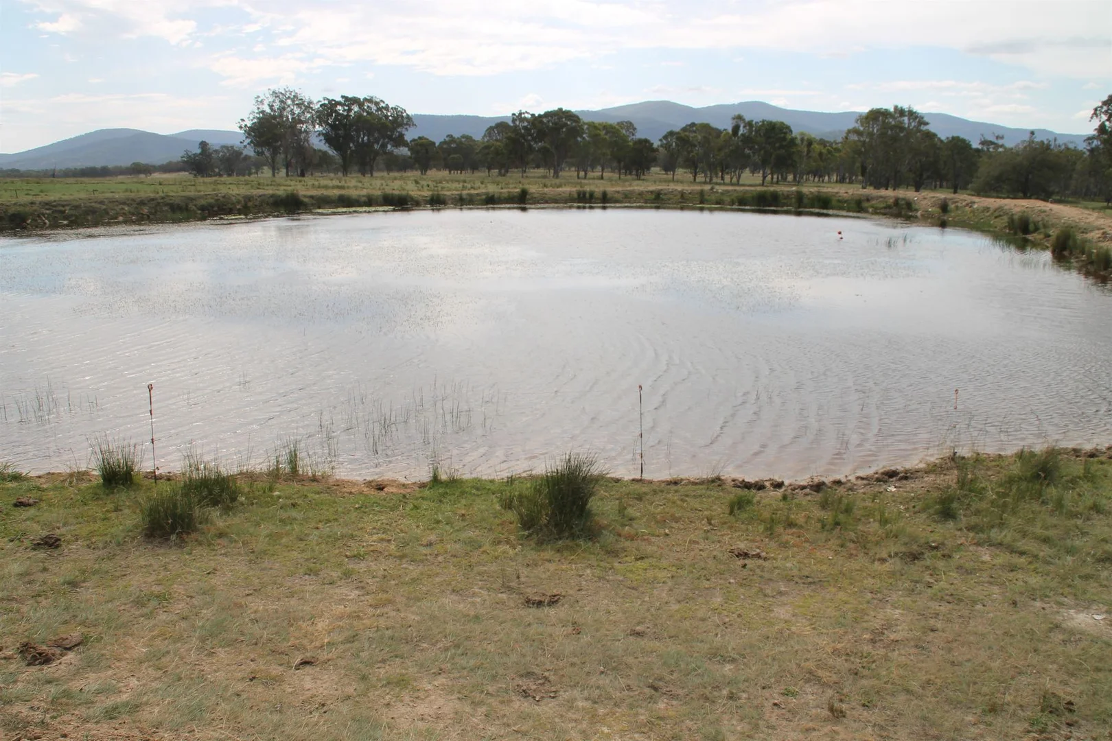 Additional image 10 of Lot 158 Woodside Road, Tenterfield NSW 2372