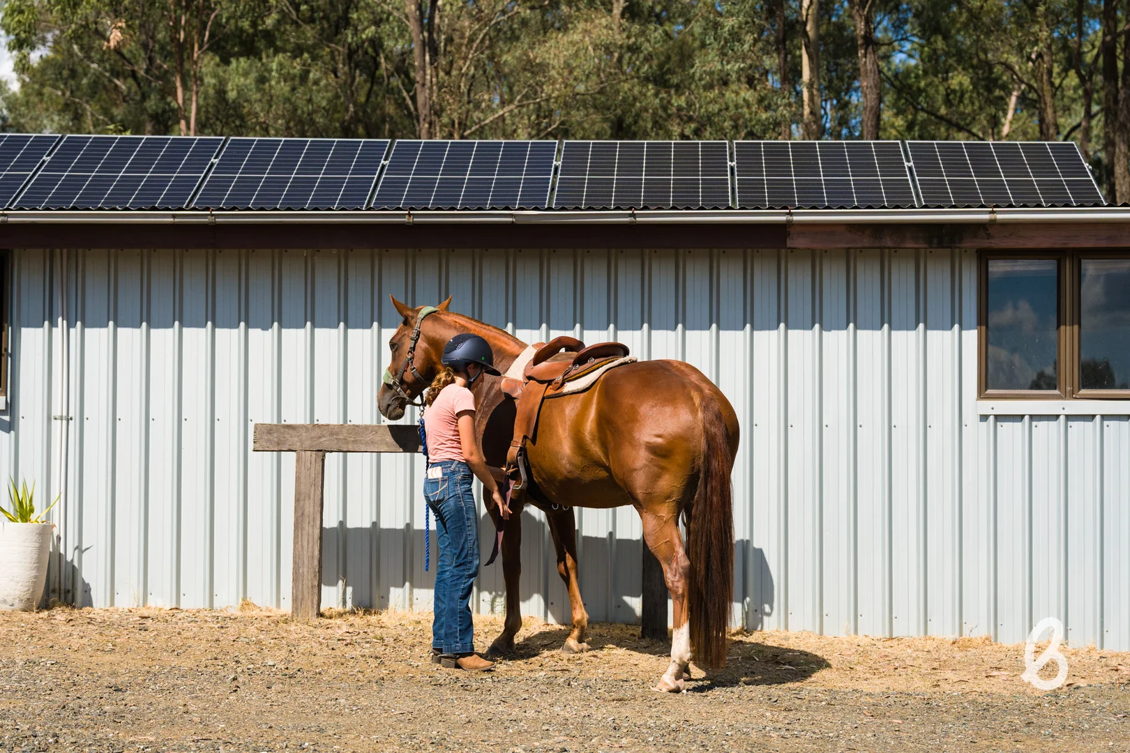 Additional image 36 of 241 Pioneer Road, Singleton NSW 2330