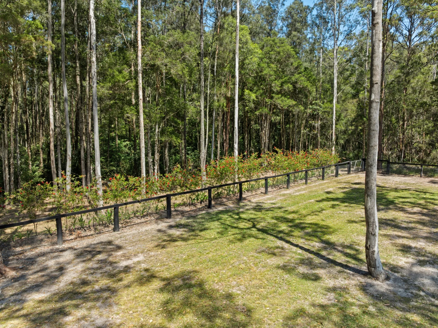 Additional image 11 of 32 Martin Street, Nabiac NSW 2312