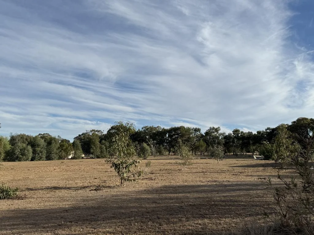 Additional image 3 of 70-78 Nangunia St, Berrigan NSW 2712