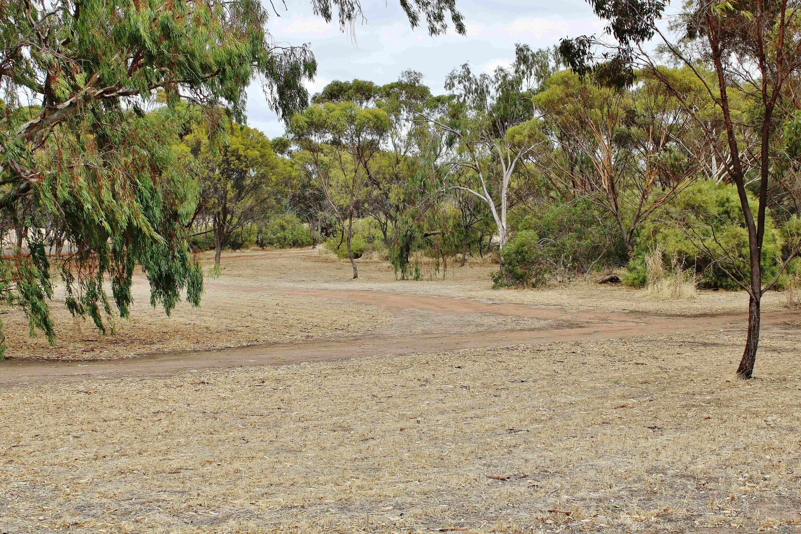 Additional image 27 of 95 CAMPBELL STREET, Cuballing WA 6311