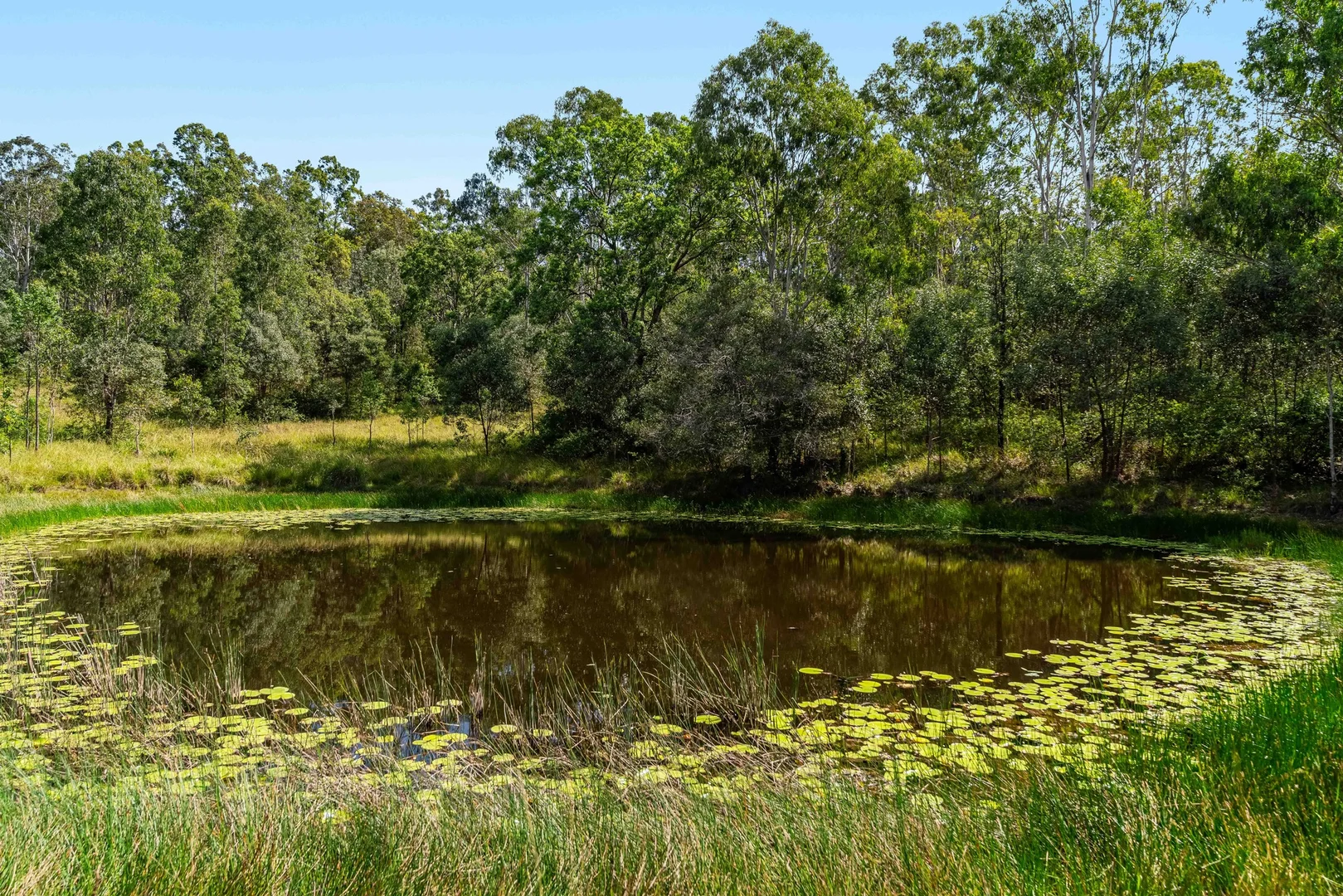 Additional image 20 of 284 Peckhams Road, Ewingar NSW 2469